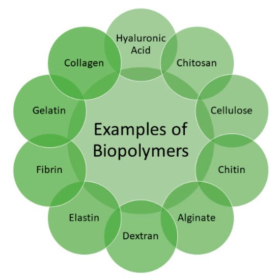 Polymers 13 02102 g001 550