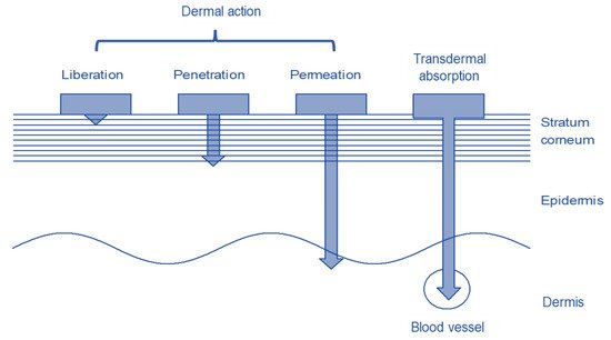 Pharmaceutics 13 00932 g001 550