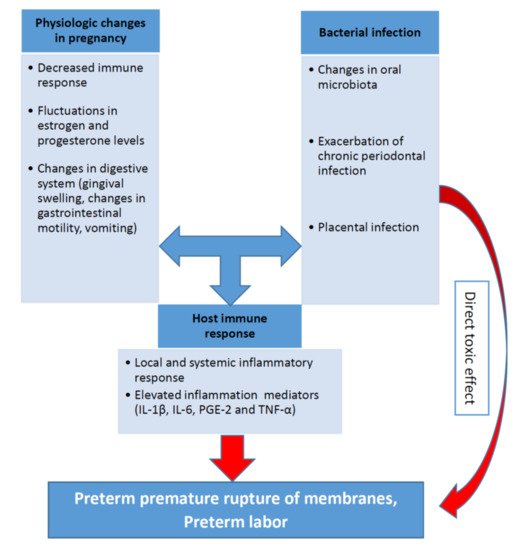 Pathogens 10 00730 g001 550