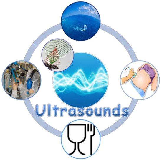 Ultrasound in Food Technology (2022)