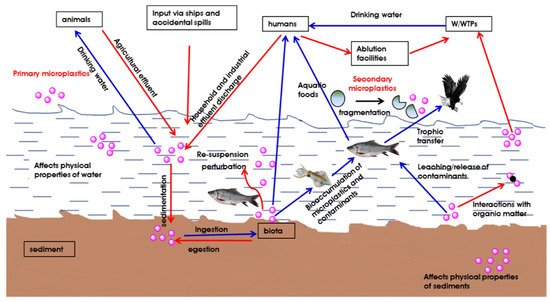 Pollutants 01 00009 g003 550