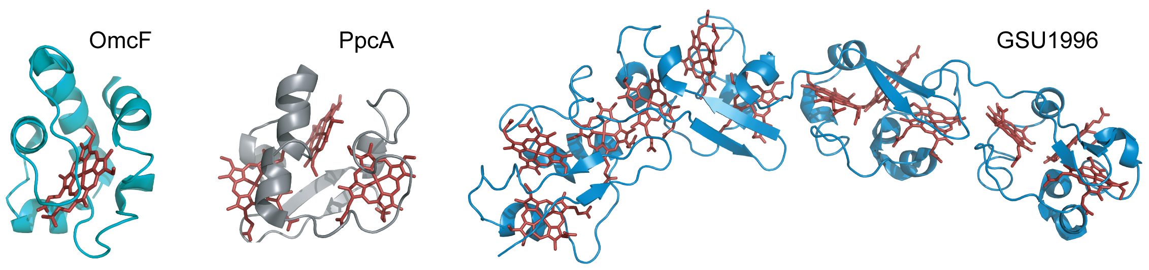 Antioxidants 10 00844 g002 550