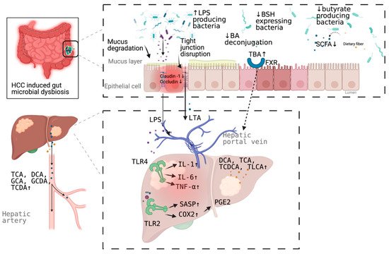 Pathogens 10 00782 g001 550