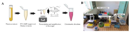 Biosensors 11 00206 g004 550