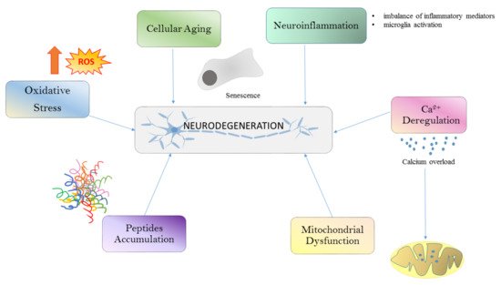 Biomedicines 09 00717 g001 550