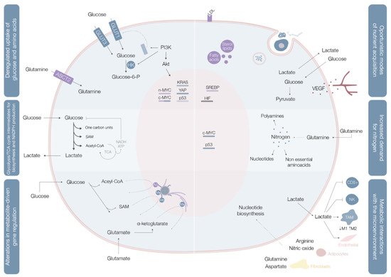 Cells 10 01432 g001 550