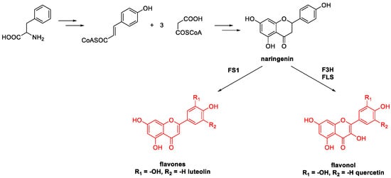 Molecules 26 02620 sch038 550