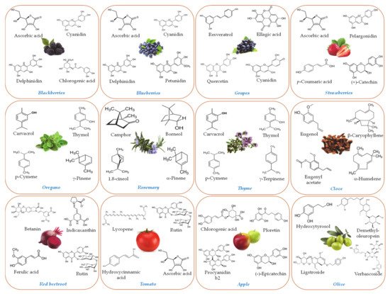 Molecules 26 03984 g001 550