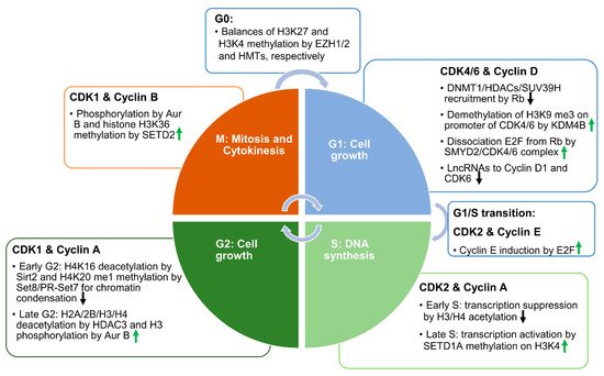 Cells 10 01662 g001 550