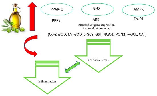 Antioxidants 10 01044 g002 550