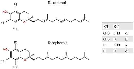 vitamin e structure