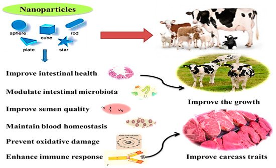 Applications of Nanominerals in Ruminants | Encyclopedia MDPI