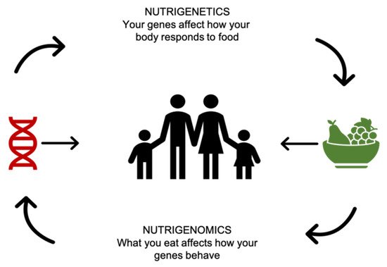 Nutrients 12 03508 g001 550