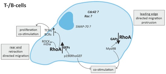 Cells 10 01681 g003 550