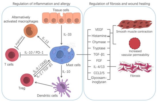 Cells 10 01615 g002 550