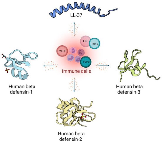 Biomolecules 11 00952 g001 550