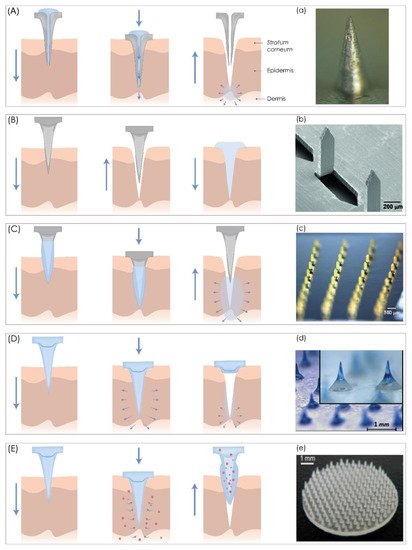 Pharmaceutics 13 00924 g001 550