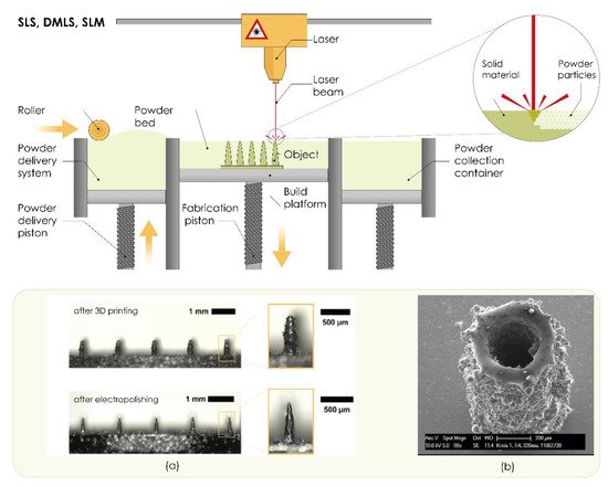 Pharmaceutics 13 00924 g006 550