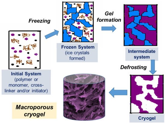 Gels 07 00079 g001 550