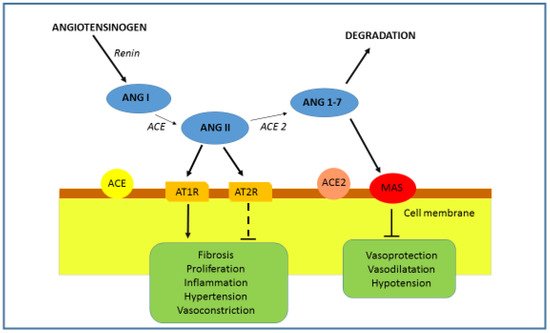 Genes 12 01054 g002 550