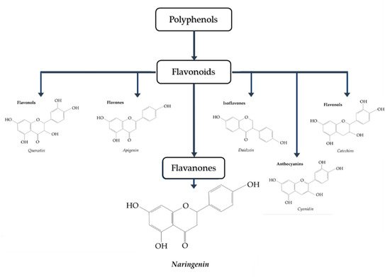 Biomolecules 09 00099 g001 550