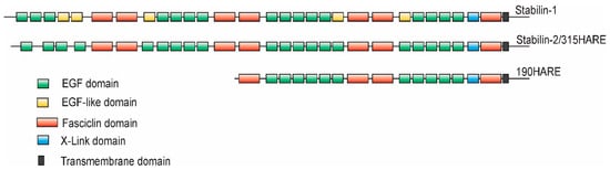 Biomolecules 09 00273 g001 550