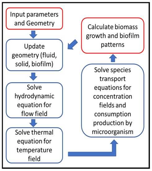 Sustainability 13 07968 g004 550