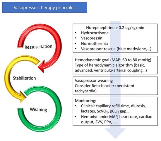 Vasopressor-Sparing and Patients with Shock | Encyclopedia MDPI