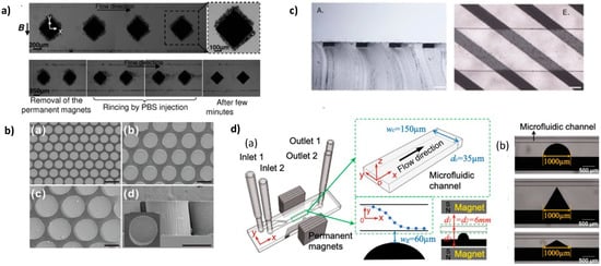 Magnetochemistry 07 00100 g001 550