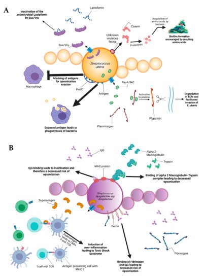 Microorganisms 09 01497 g002a 550