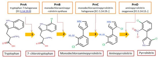 Biomolecules 09 00443 g001 550