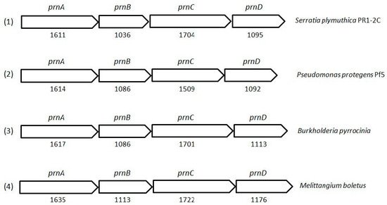 Biomolecules 09 00443 g002 550