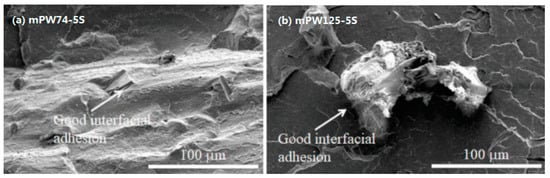 Polymers 13 02289 g002 550