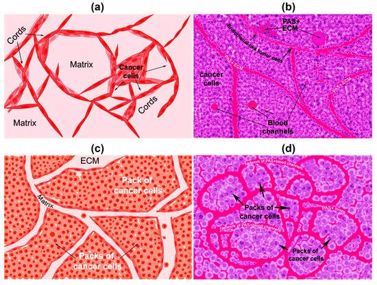 Cells 10 01758 g001 550