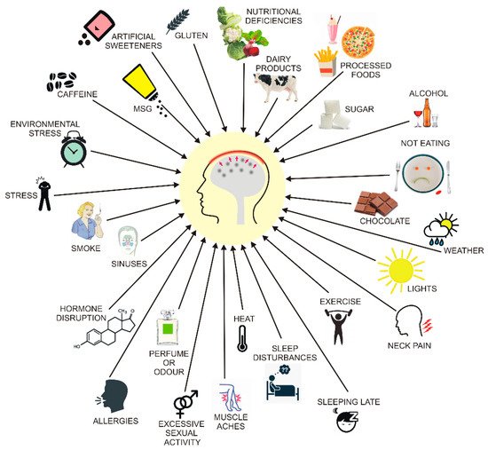 Nutrients 11 02763 g004 550