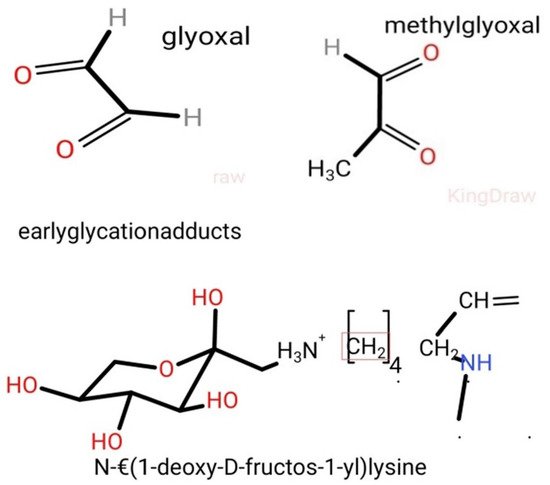 Biomolecules 09 00888 g002 550