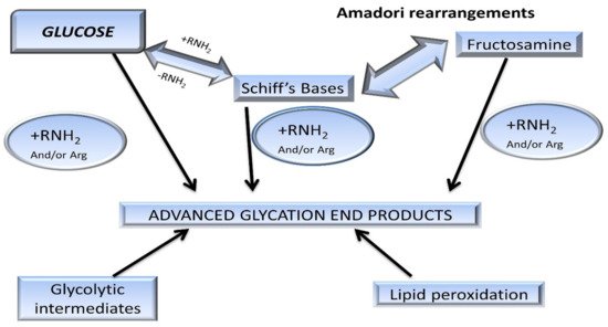 Biomolecules 09 00888 g003 550