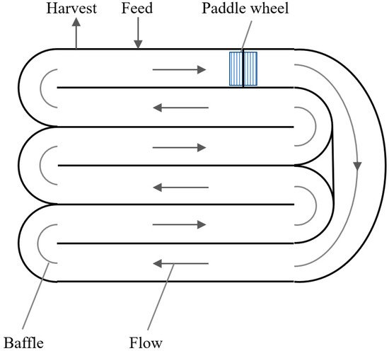 Foods 10 01626 g002 550