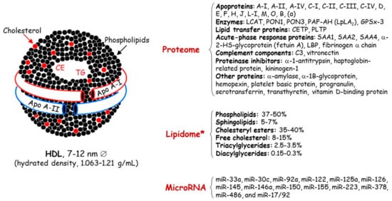 Biomedicines 09 00810 g001 550