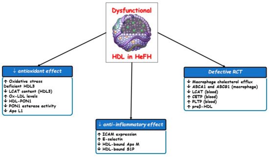 Biomedicines 09 00810 g003 550