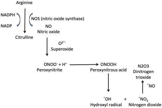 Antioxidants 08 00543 g001 550