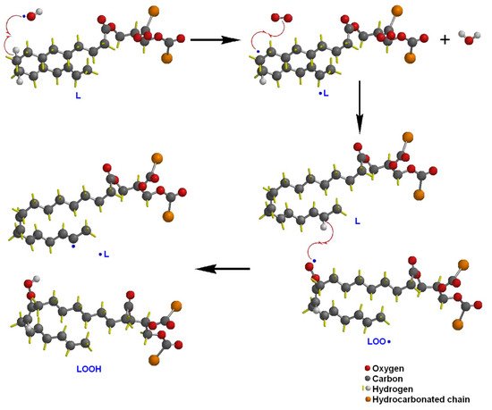 Polysaccharides 02 00036 g001 550