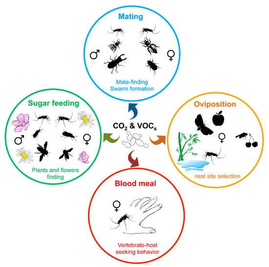 Microorganisms 09 01552 g003 550