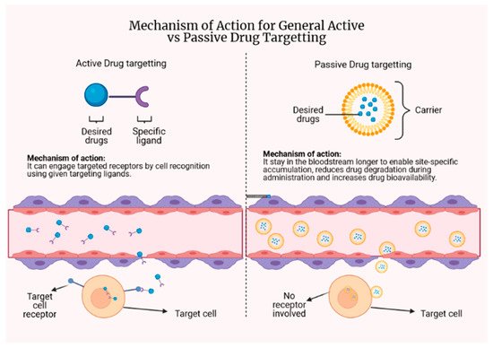 Antibiotics 10 00908 g005 550