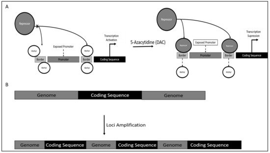 Genes 12 01188 g001 550