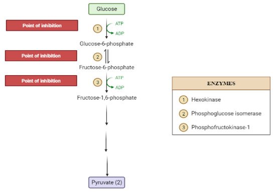 Molecules 26 04333 g005 550