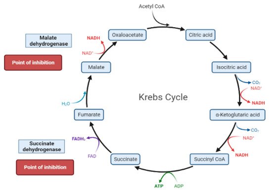 Molecules 26 04333 g006 550