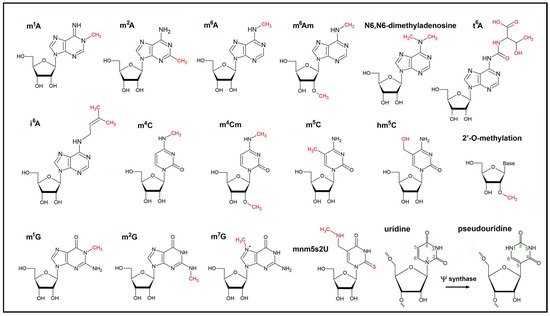 Genes 12 01121 g001 550