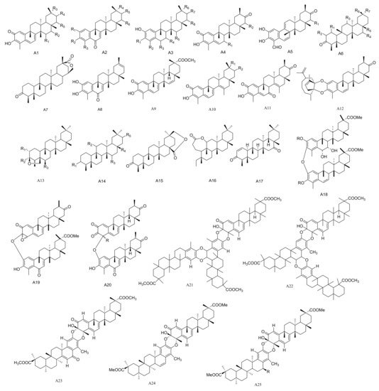 Molecules 26 04563 g001 550