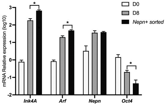 Biomolecules 11 01124 g003 550